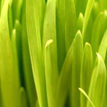 24小时自动发货的ddos攻击ip软件下载